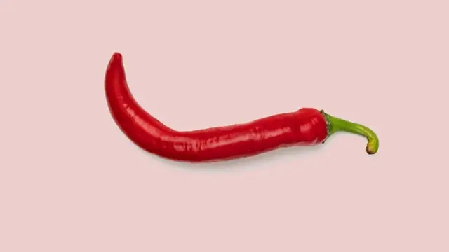 Chilli pepper